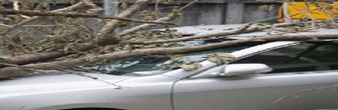 insuranceplanning Cover Image